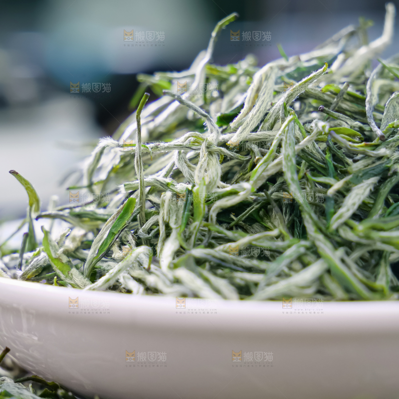 毛尖茶