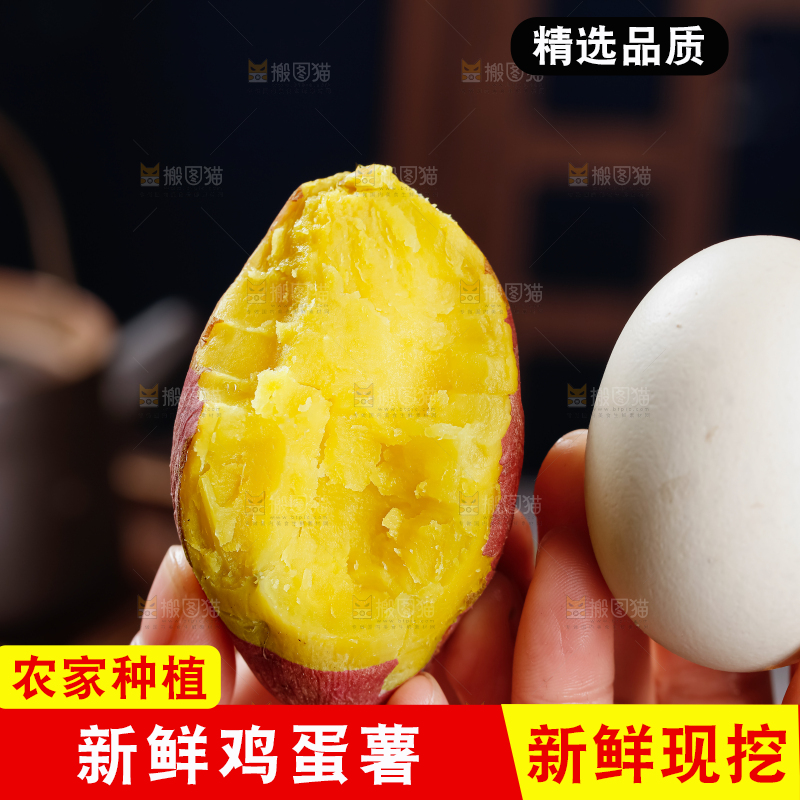 鸡蛋薯