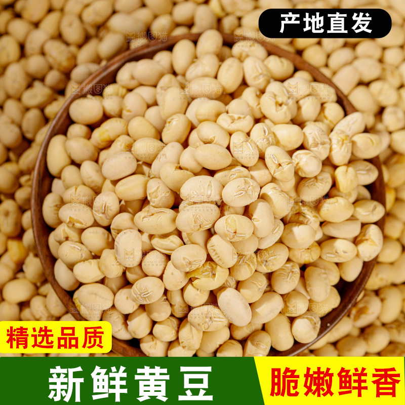 黄豆