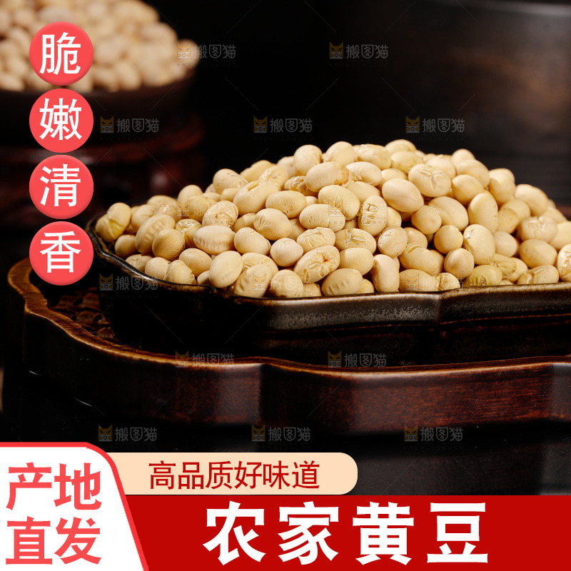黄豆