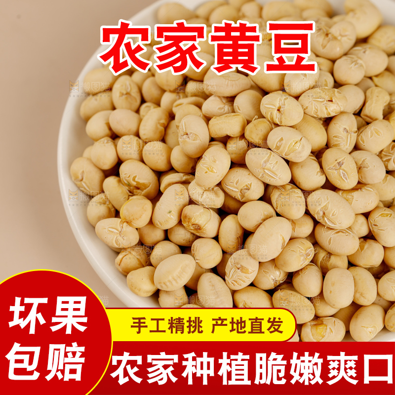 黄豆