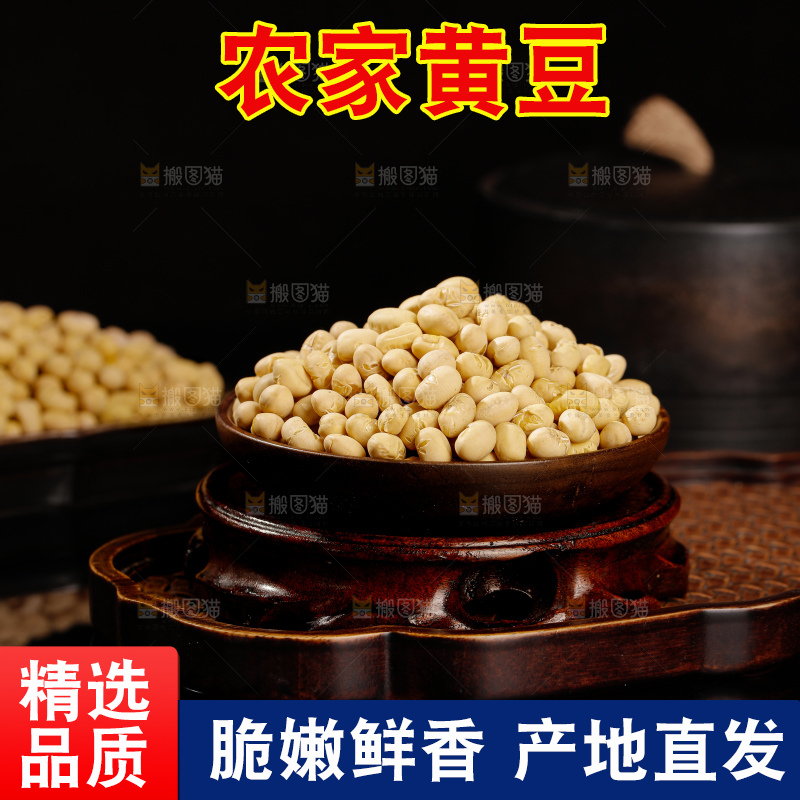 黄豆