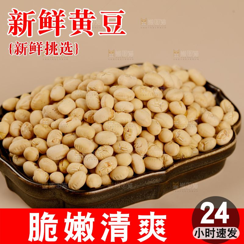 黄豆