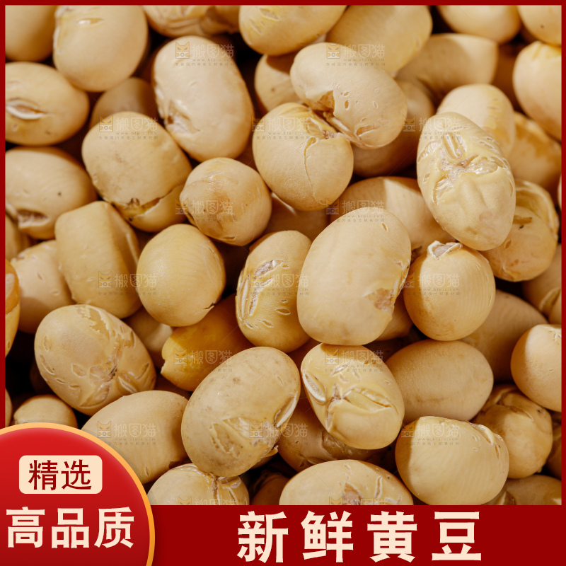 黄豆