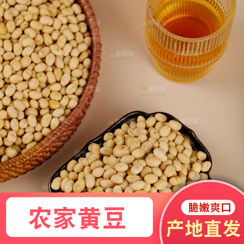 黄豆