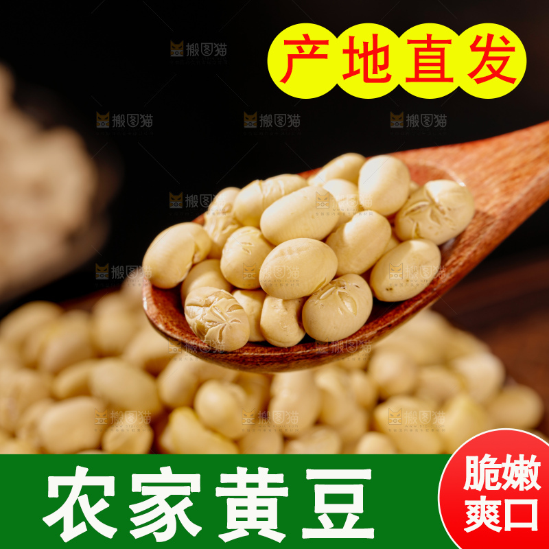黄豆