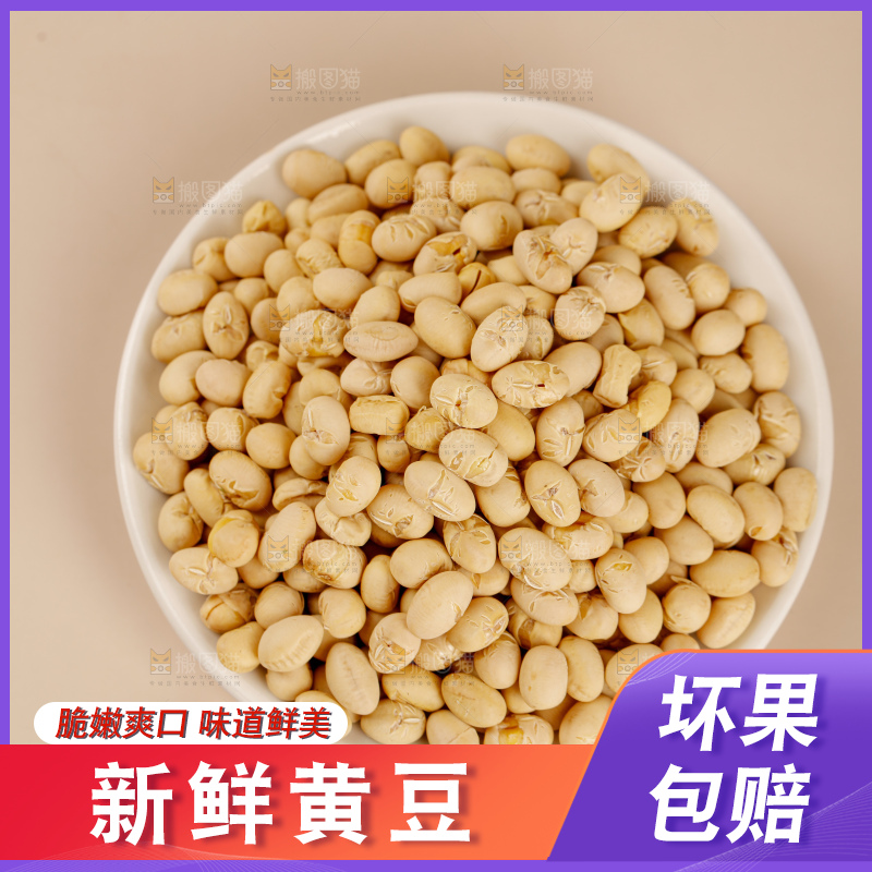 黄豆