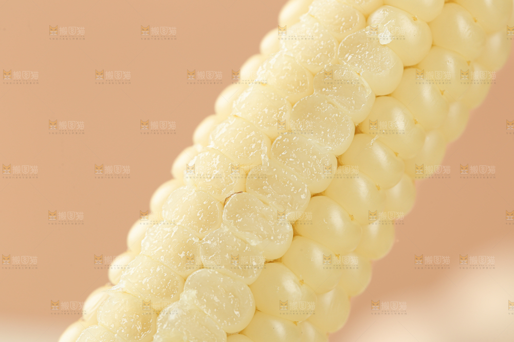 拇指玉米