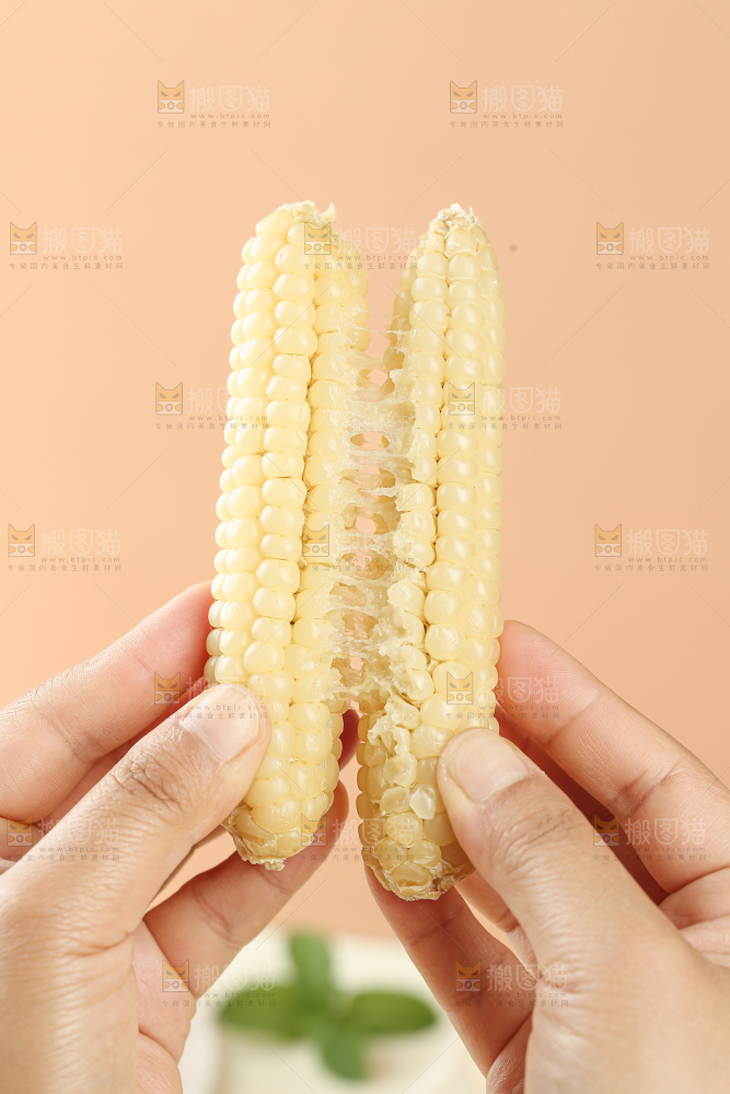拇指玉米