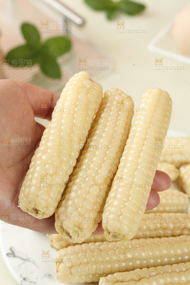 拇指玉米