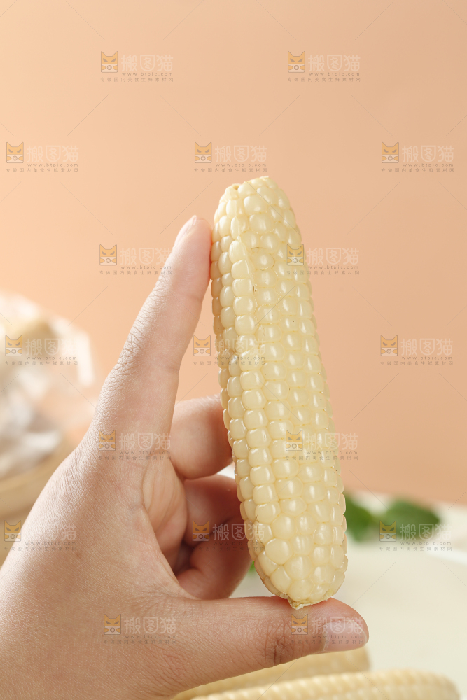 拇指玉米