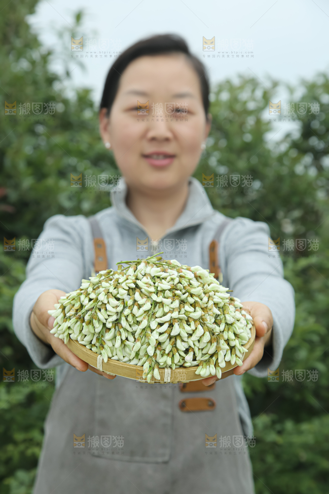 槐花