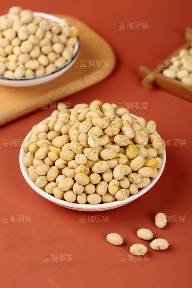 黄豆
