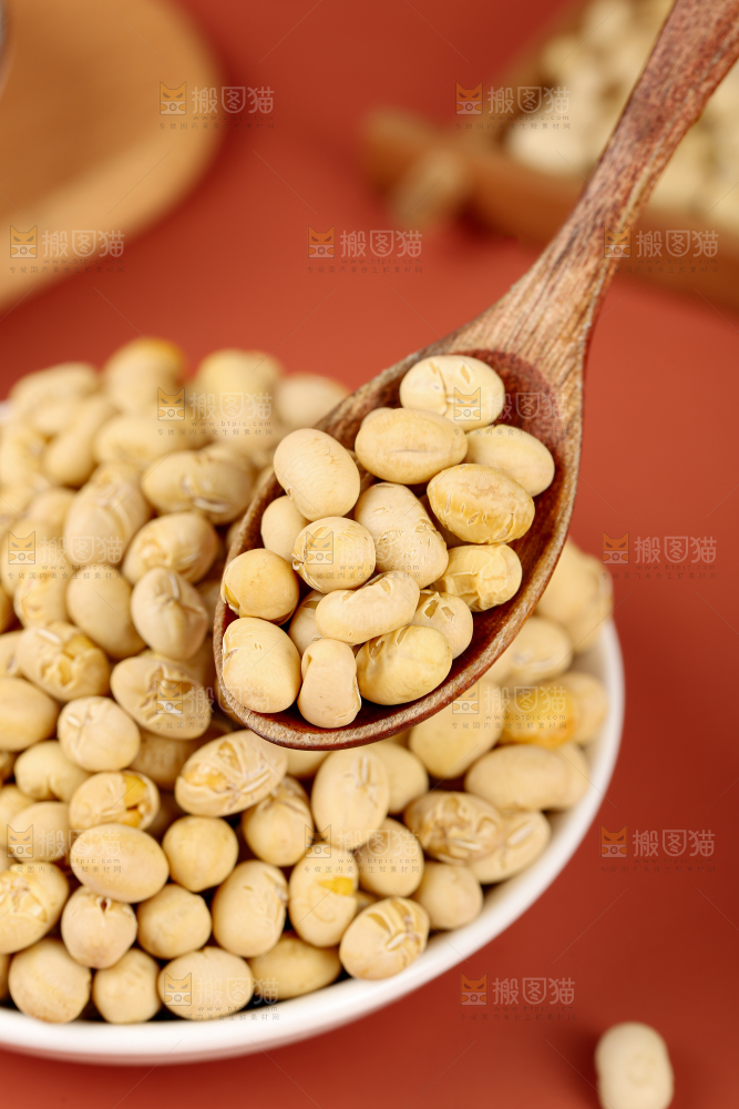 黄豆