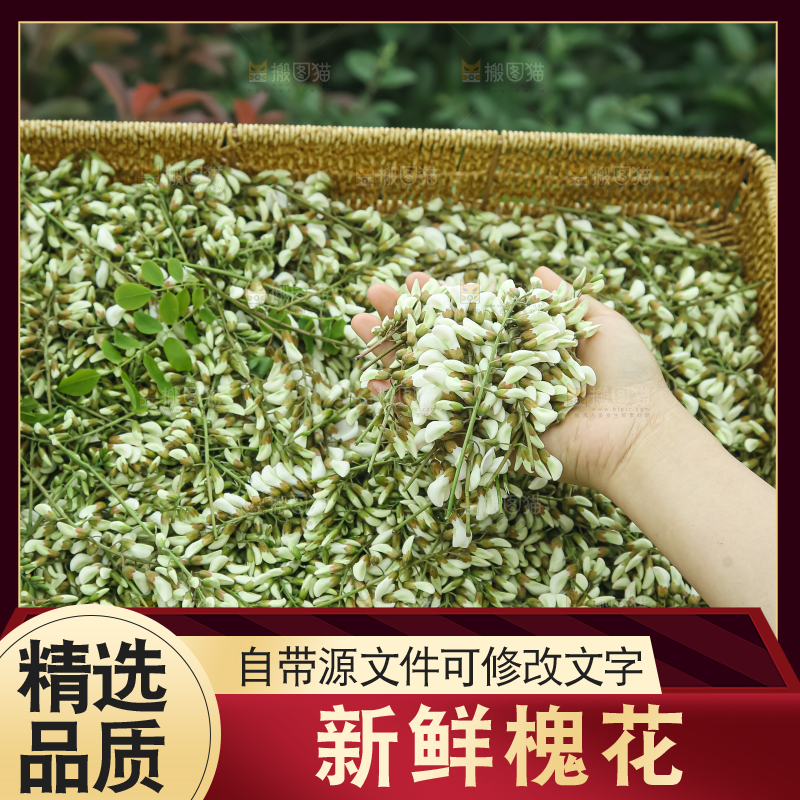 槐花