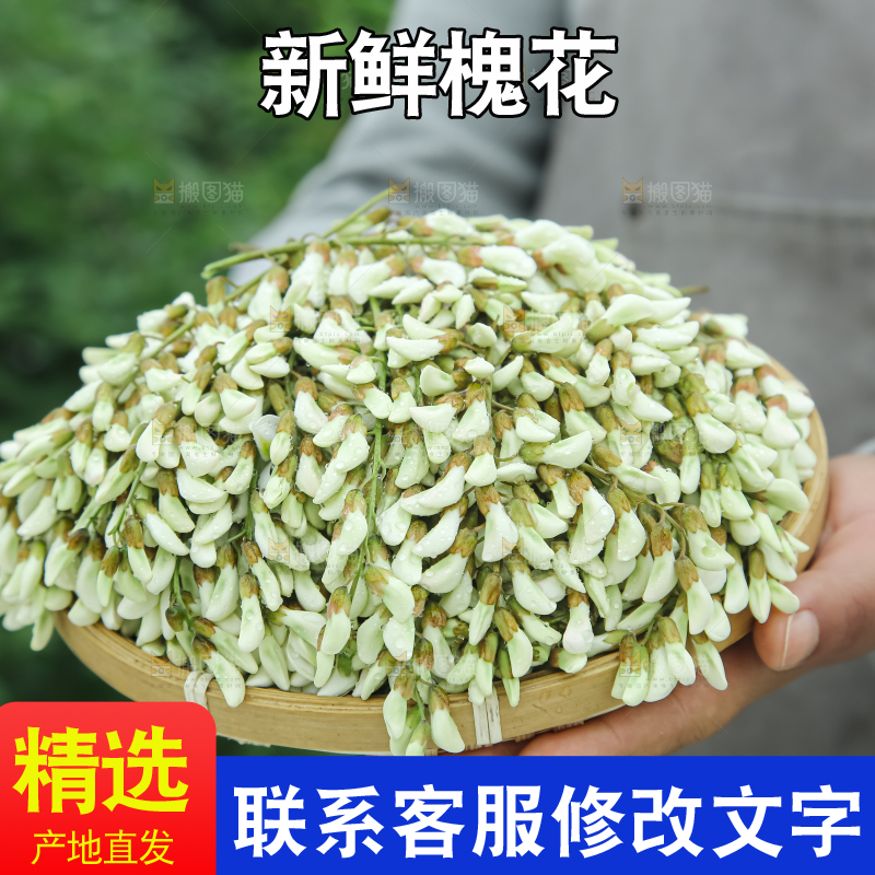 槐花