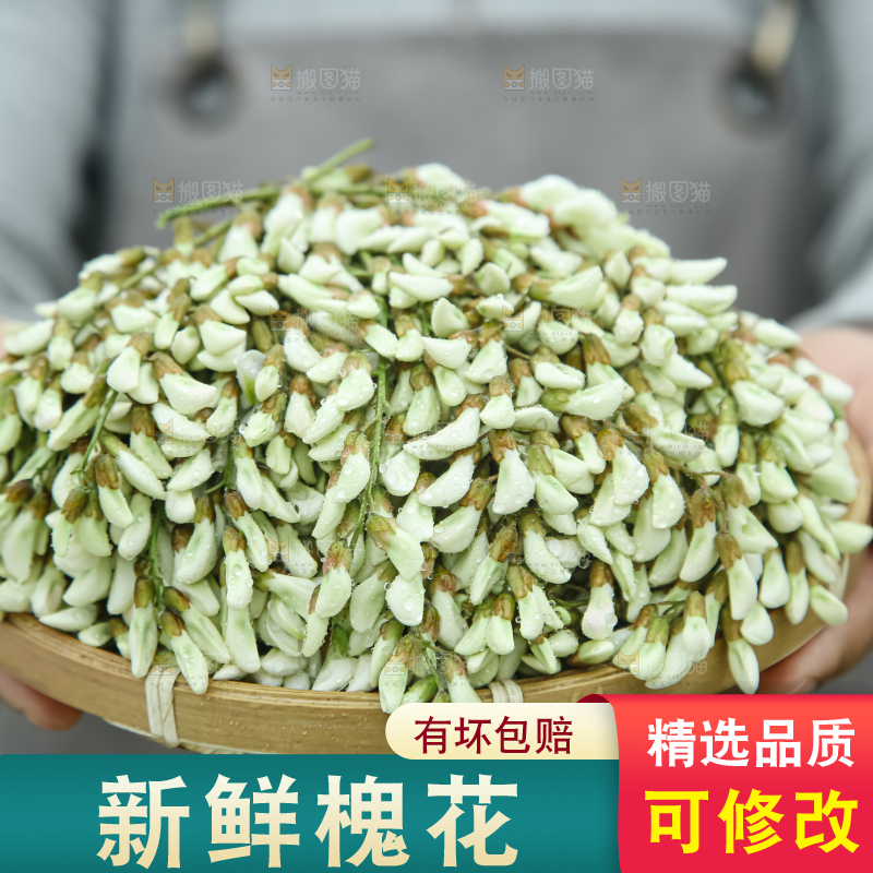 槐花