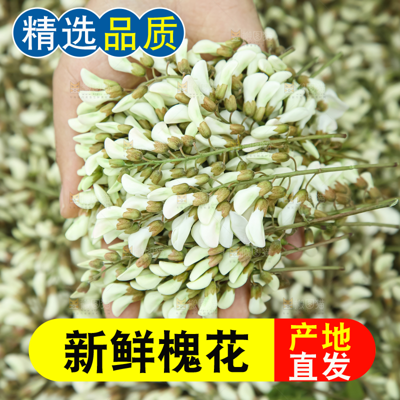槐花