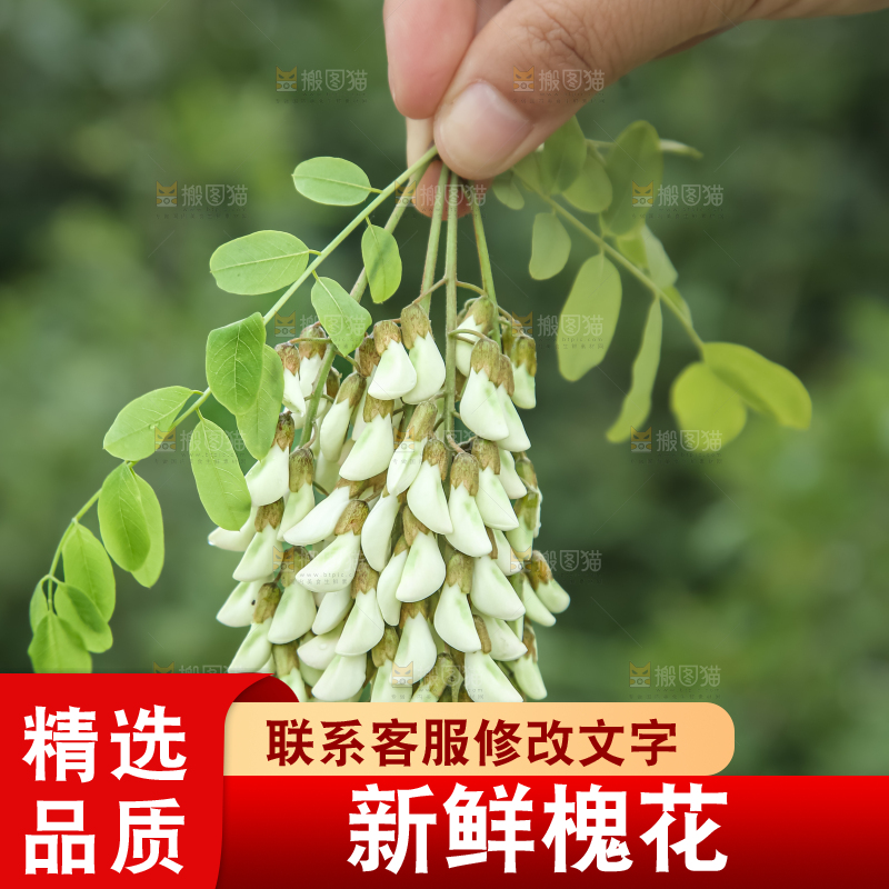槐花