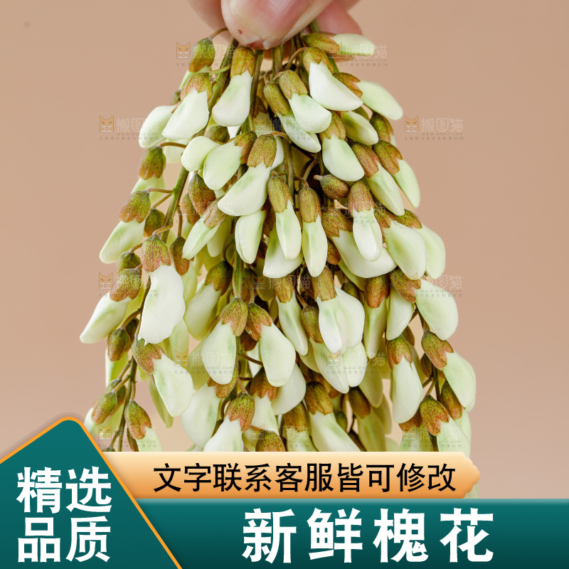 槐花