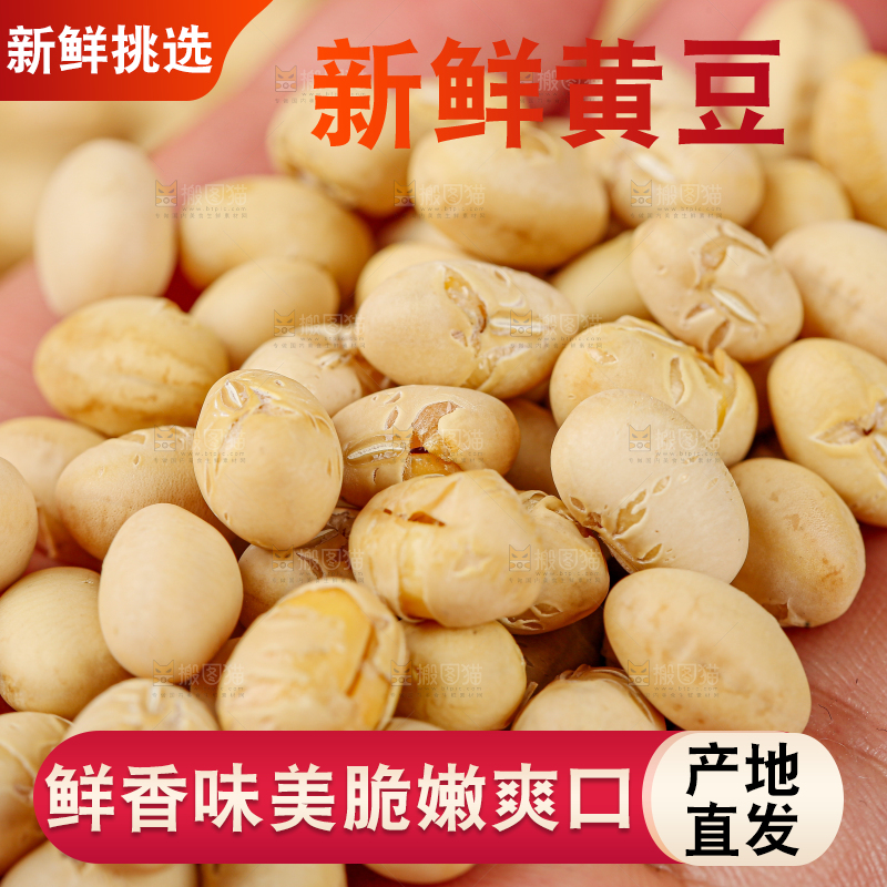 黄豆