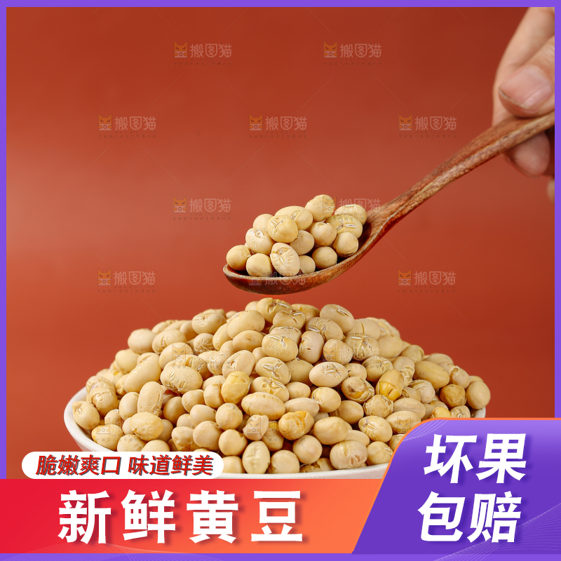 黄豆