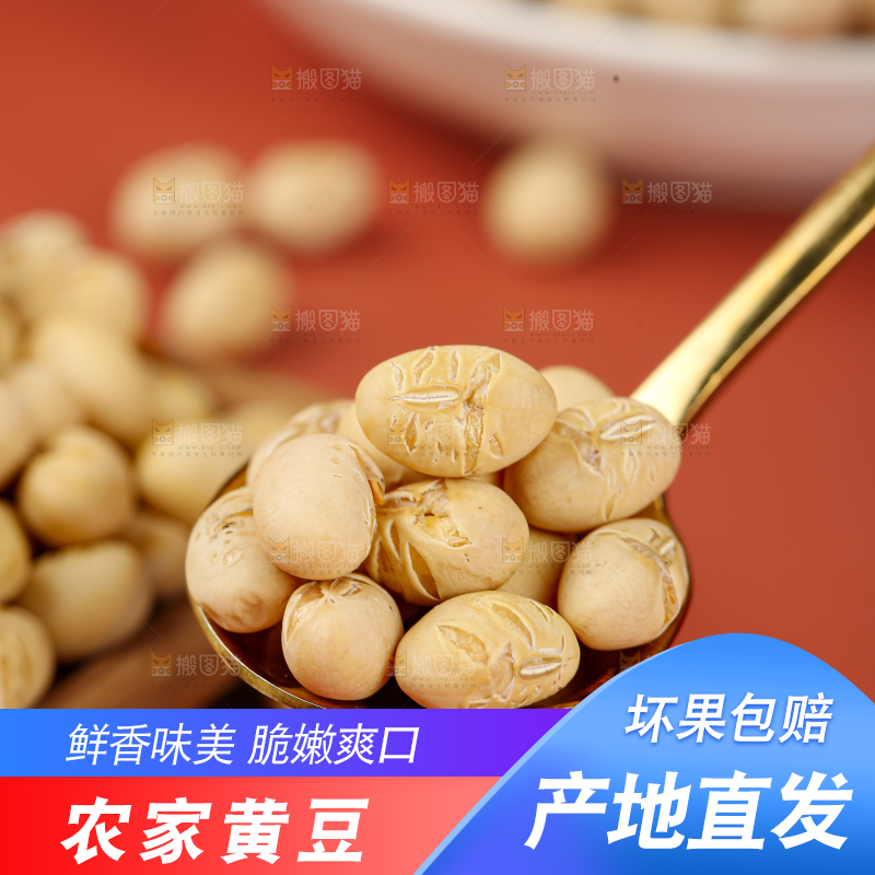 黄豆