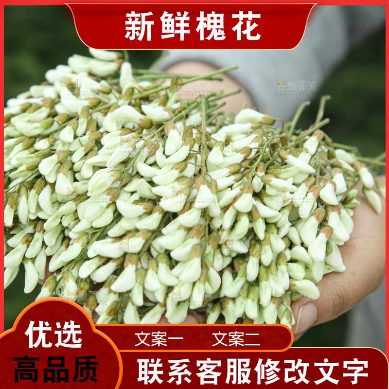 槐花