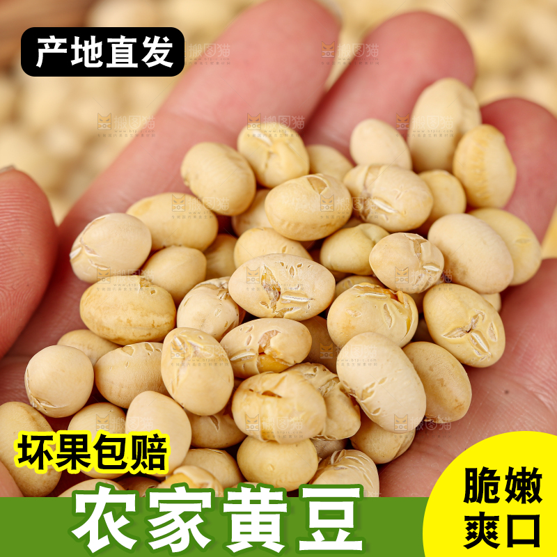 黄豆