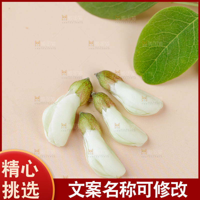 槐花