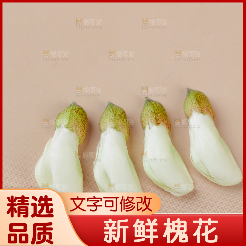 槐花
