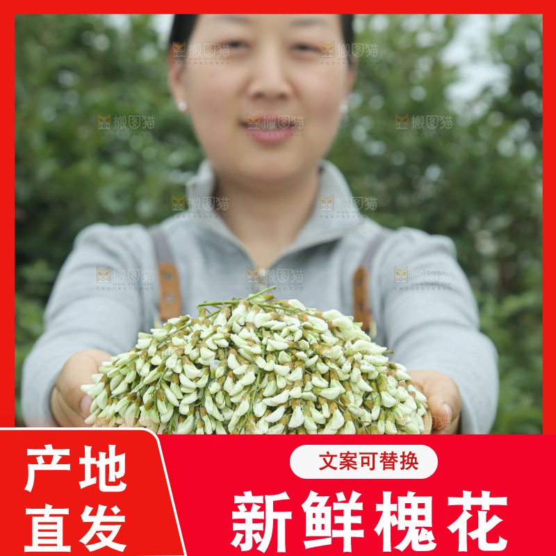 槐花