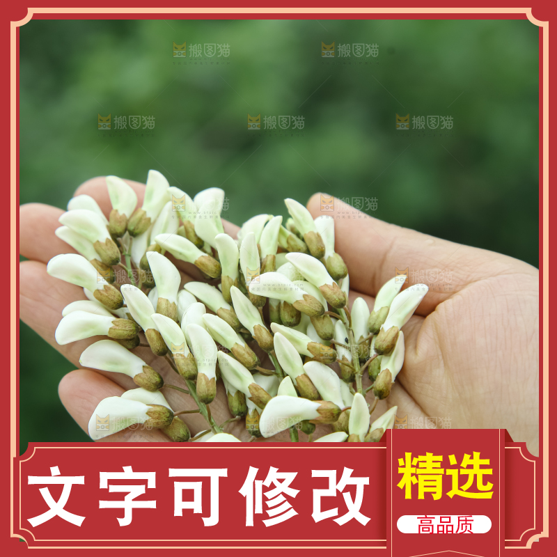 槐花