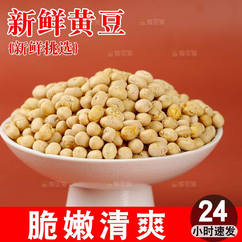 黄豆