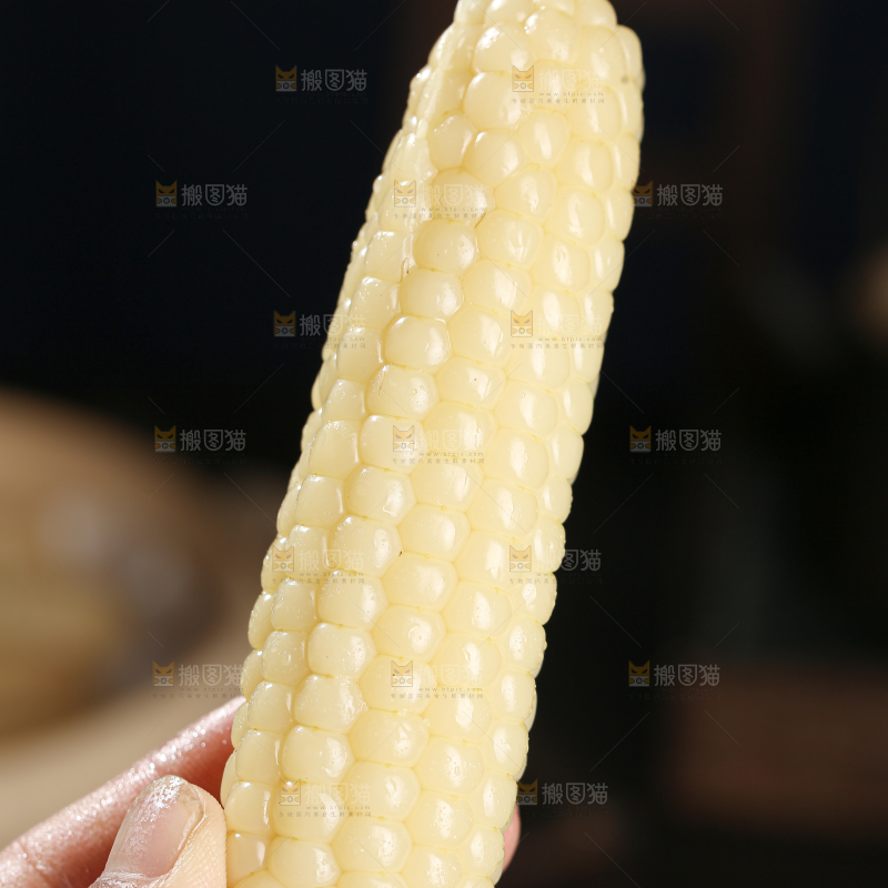 拇指玉米