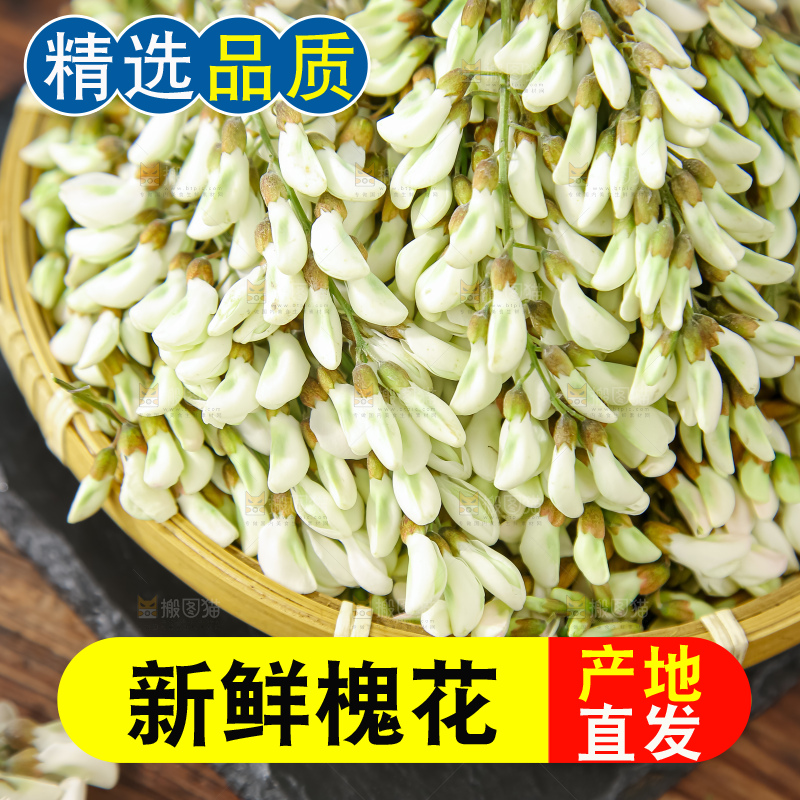 槐花