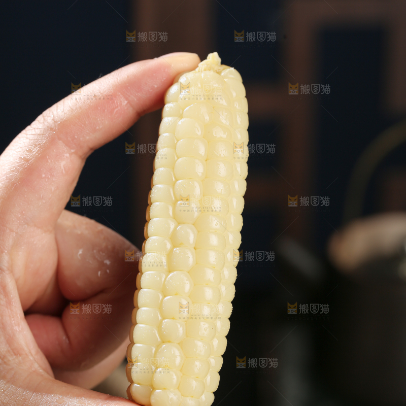 拇指玉米