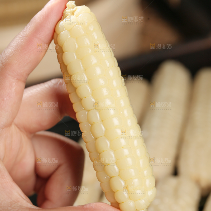 拇指玉米