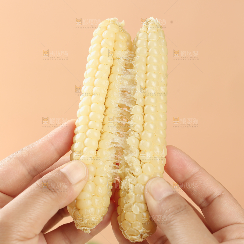 拇指玉米