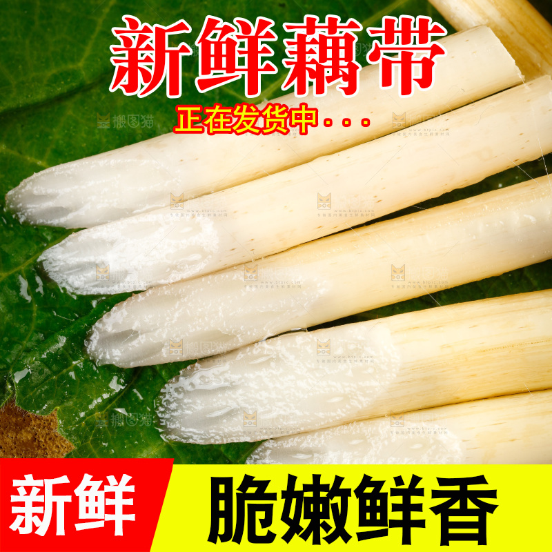 藕带