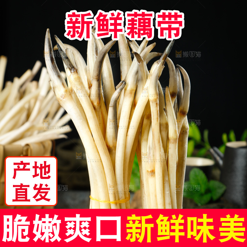 藕带