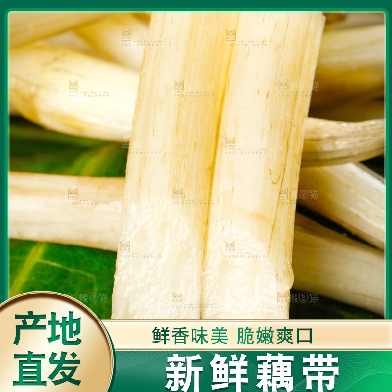 藕带