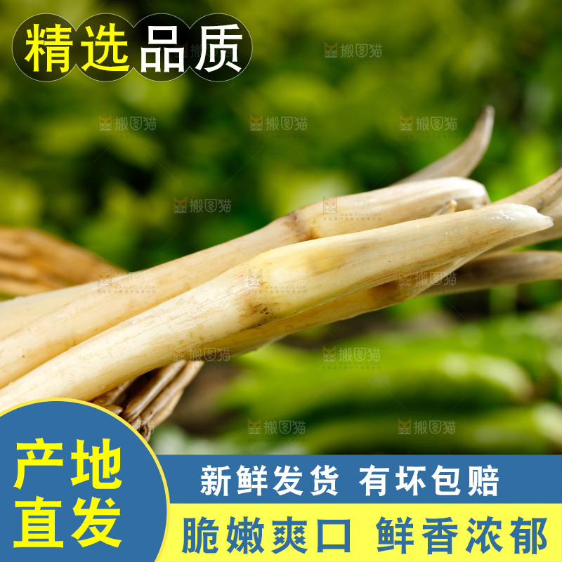 藕带