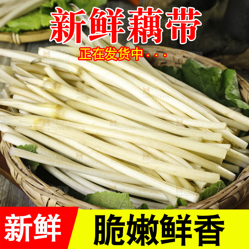 藕带