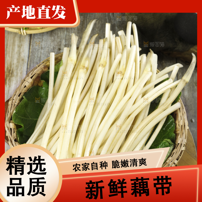 藕带