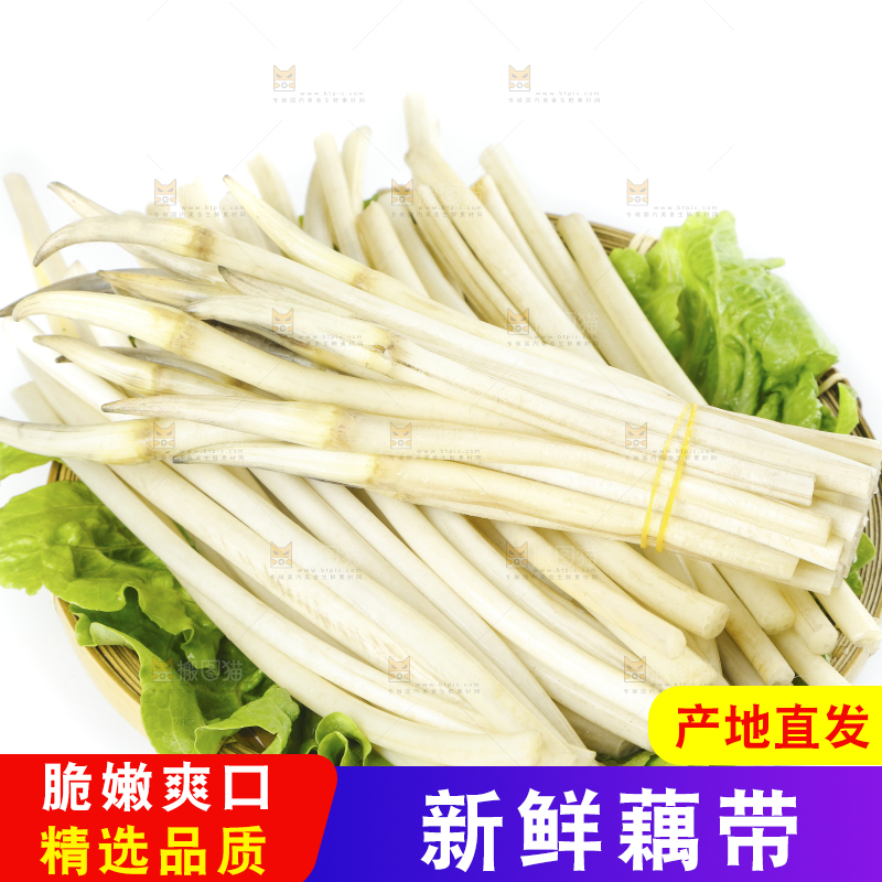 藕带