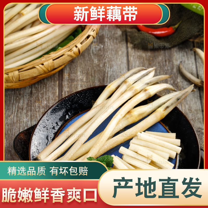 藕带