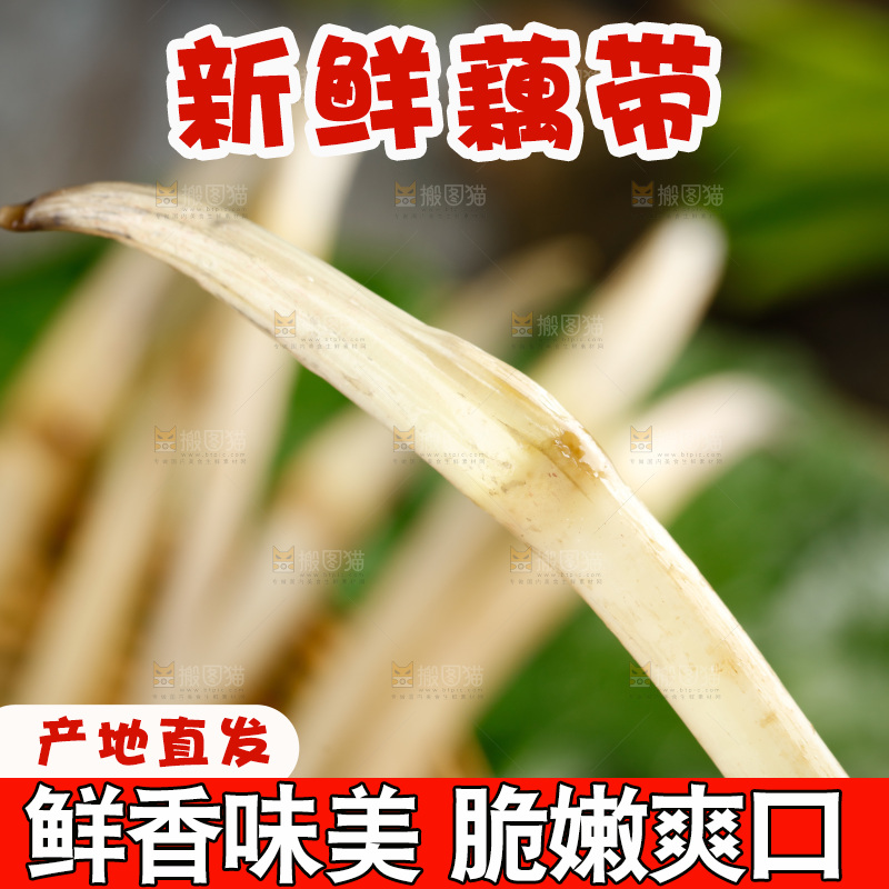 藕带