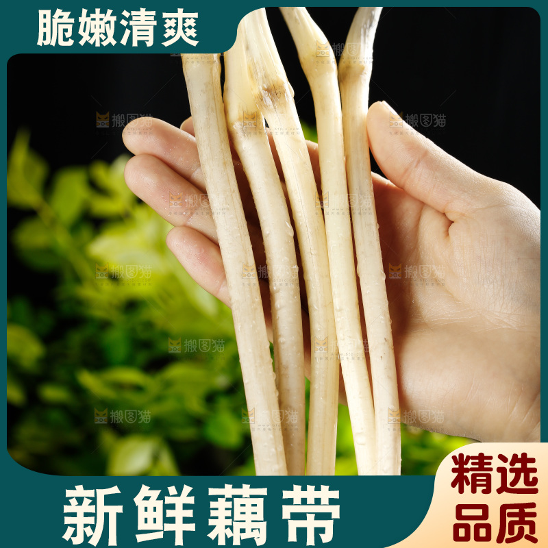 藕带