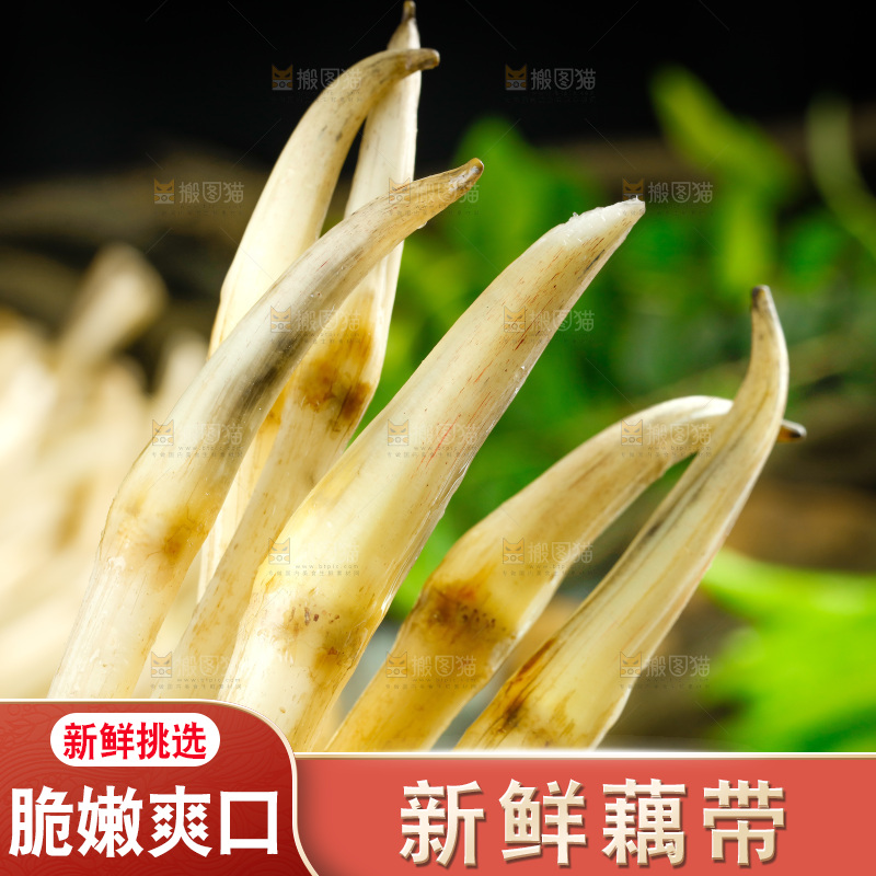 藕带